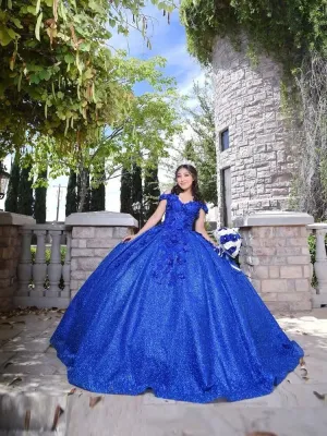 Bling Sequin Sweet 16 Quinceanera Dresses with 3D Applique Royal Blue Beads Corset Dress Masquerade xv Dress