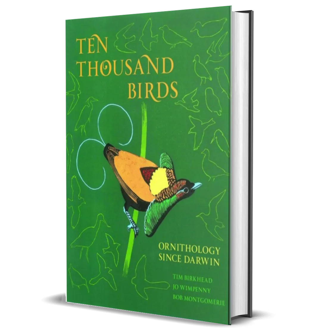 Ten Thousand Birds: Ornithology since Darwin